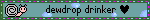 dew drop drinker